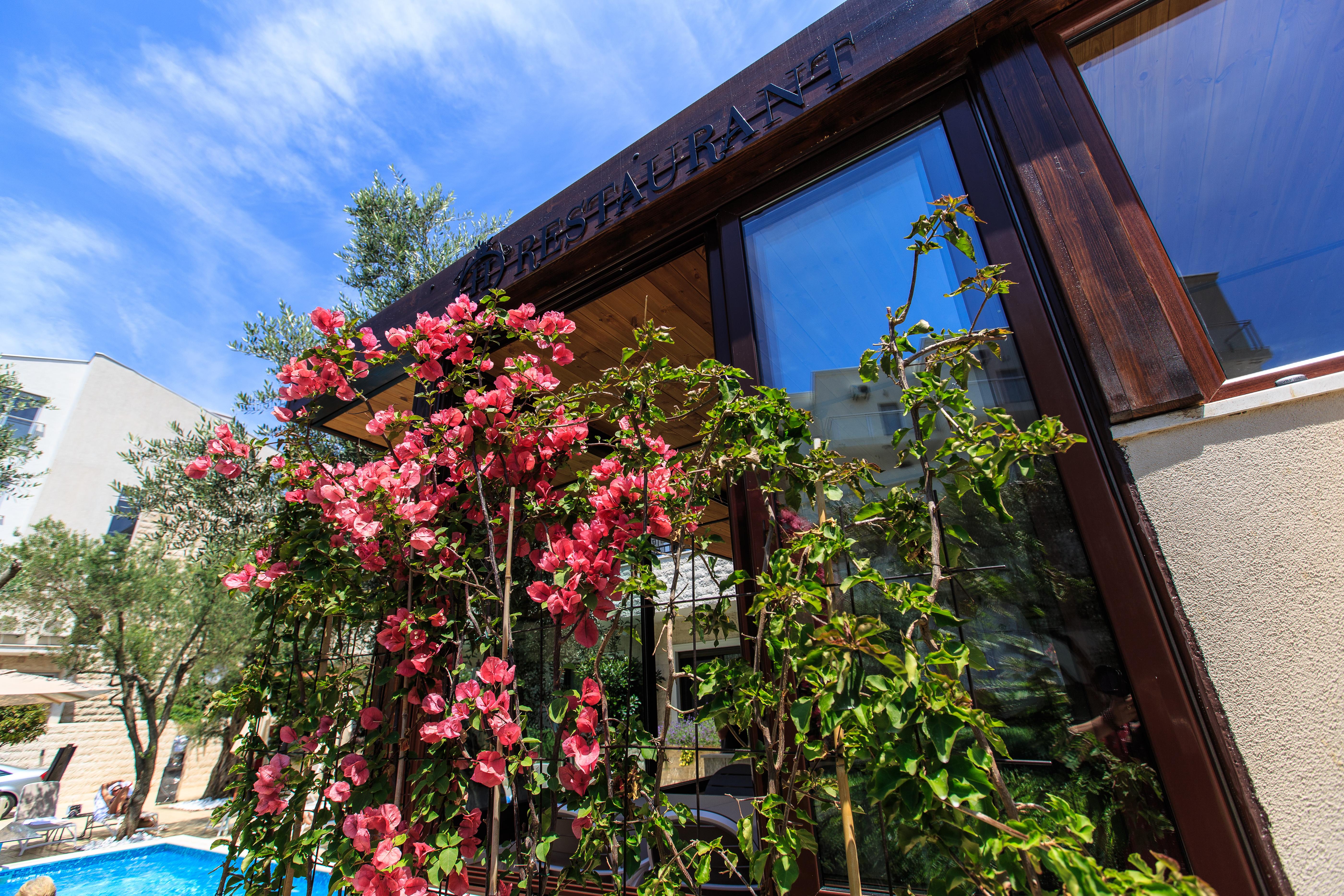 Hotel Harmony By Aycon Petrovac Dış mekan fotoğraf